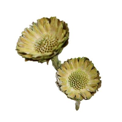 China Amazon Elegant Cheap Wholesale Dried Flowers Africa Sun Natural Ornamental Flower For Home Decoration for sale