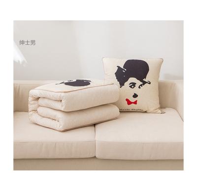 China Wholesale Anti Dust Mite Customized Good Quality Air Conditioner Quilt Custom Car Pillow for sale