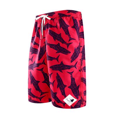 China Breathable Paddle Shark Printed Donut Swim Trunks Board Fit Wakeboard Mens Swim Shorts for sale