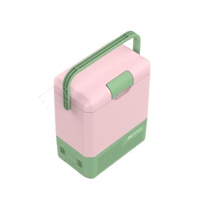 China 9L COMPRESSOR Beauty Mini Fridge 12V 220V Car Refrigerator For Cosmetics for sale