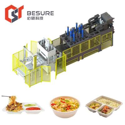 China Hotels Pulp Tableware Molding Production Line Biodegradable Paper Plate Bowl Clamshell for sale