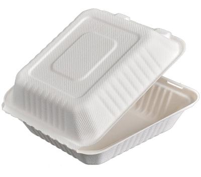 China Factory Full Automatic TW20000 Bagasse Tableware Machine Disposable Paper Food Container Equipment for sale