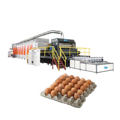 China food & Beverage Mill ET4300 Waste Paper Pulp Molding Egg Tray /Fruit Tray /Coffee Cup Tray Production Line for sale