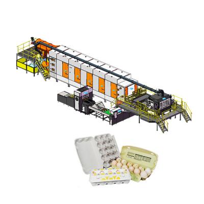 China For the production of egg carton which contain 6 EC9600Fully Automatic BST Waste Paper Pulp Molding Egg Carton Box / Egg Carton Production Line for sale