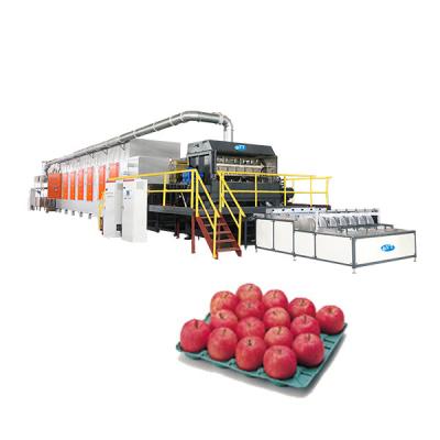 China Factory ET7200 Fully Automatic Disposable Fruit Tray Making Machine for sale