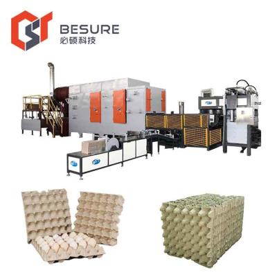 China Fully Automatic Building Material Stores B ST ET1800 Egg Tray Machine for sale