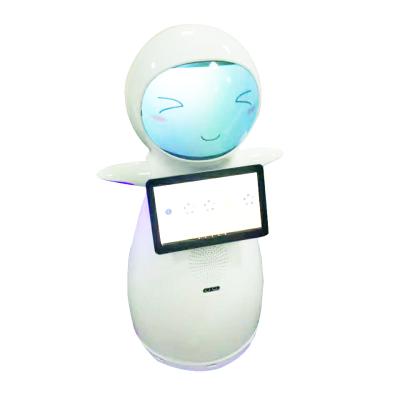 China Greeting Snow Robot Reception Interactable SDK API Open Auto Greeting Navigation with Back End Platform Supported Robotics for sale