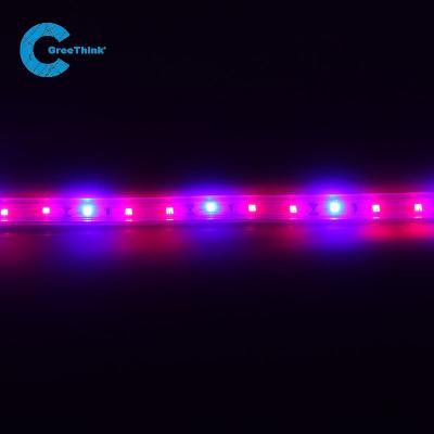 China Seed Starting Waterproof Ip67 Smd2835 60leds Growing Led Strip Light With Rohs for sale