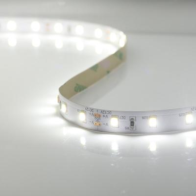 China Dance Hall DC 12v Ip65 2385 8mm White Led Flexible Strip Light Strip Light 10mm Optional for sale