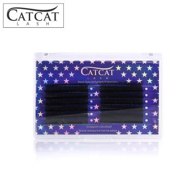 China CATCAT Flexible Volume Fans Factory Supplied Wholesale Private Label YY And Korean Luxury Silk Eyelash Extensions V Eyelash Extension for sale