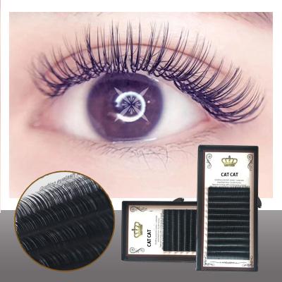 China Low Moq Wholesale Clean Natural Soft Black Nature 0.1thick Private Label 8-14mm Brand Pre Made Mink Fans Russian Volume Lashes for sale