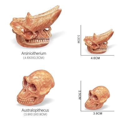 China Skeleton Gift STUFFED Toy Figures Dino Bones Educational Skulls Prehistoric Mammal Dinosaur for Science Game Dino Sand Dig Party Toys for sale