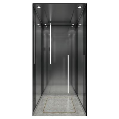 China HD-V2110 Load Capacity 320Kg-400Kg OEM Home Elevator Traction Elevator Contemporary Home Custom Elevator for sale