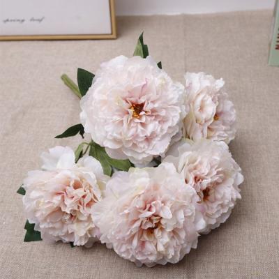 China Conveniently Wholesale 5 Heads High Quality Silk Peony Bouquet Garden Decoration for sale