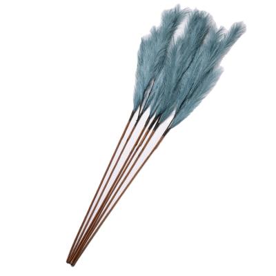 China Conveniently Reed Fluffy Pampas Pampas Home Holiday Wedding Decor Wholesale Cheap Long Bangle Rod for sale