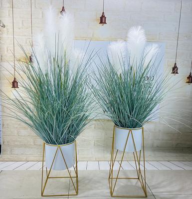 China Conveniently 5 Heads Extra Thick Fluffy Artificial Pampas Grass Fancy Pampas Grass Wedding Backdrop Decoration Flower DIY Romantic Flower for sale