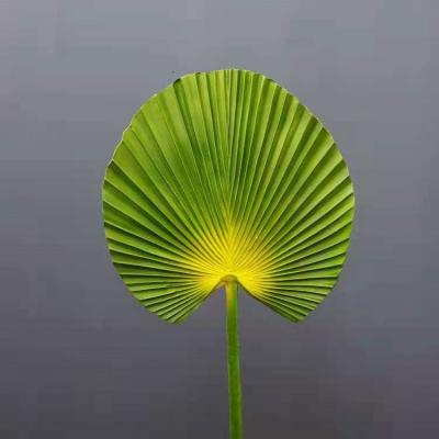 China Conveniently Decorative Flower PU Fan Leaves Home Decoration Flower for sale