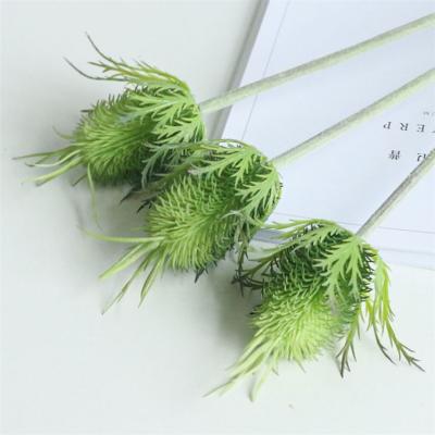 China Convieniently sell as Hot Cake Heads Sting Wool Fruits Real Preserved 3 Artificial Flowers for sale