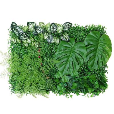 China Convieniently Wall i Mitation Plant Wall Panel Greenery Plant Wall Cover Artificial Plant Wall Cover Decoration 60cm*40cm for sale