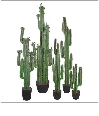 China Convieniently Artificial Cactus Plants are needled tropical desert potted home decorative artificial plants for sale