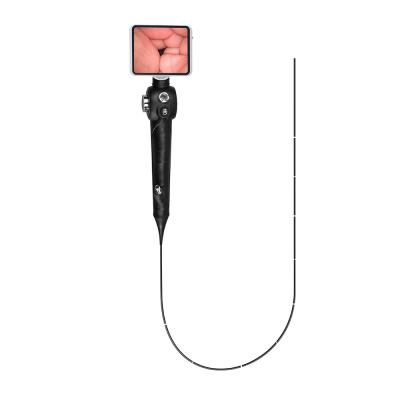 China Portable Flexible Endoscope Video Camera For Small Animal Gastroscope And Colonoscope for sale