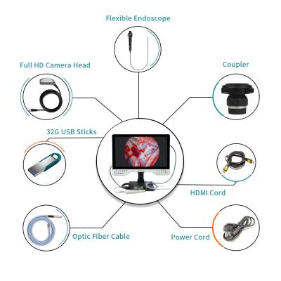 China 24 Inch Flexible And Rigid FHD Endoscope Camera System With Playback And 2 USB Storage Function for sale