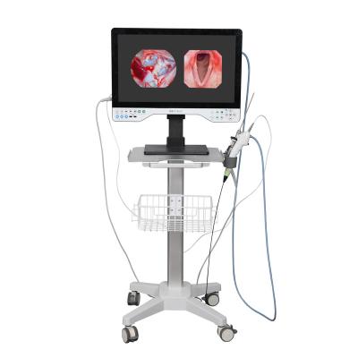 China TUYOU 24 Inch UHD All In One Rigid Endoscopic Camera For Endometrial Surgery for sale