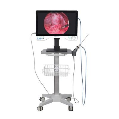 China 24in TUYOU Nasopharyngoscoop Endoscoop Camera Recorder voor High Definition Laparoscopy Operaties Te koop