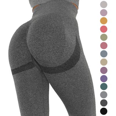 China Breathable Yoga Pants Gaiters Sports Woman Seamless High Waist Gym Gaiters Sports Tights Women Workout Girls Leggin Clothing for sale