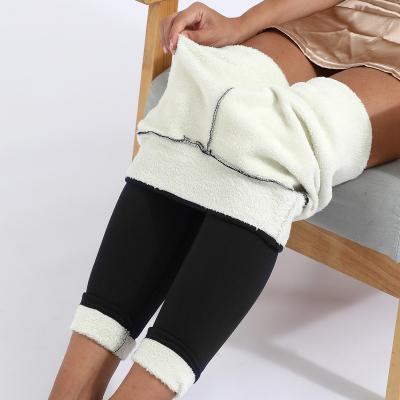 China Black High Waist Velvet Legging Anti-Wrinkle Women Pants Winter Cold Resistant Pants Lambskin Compression Gaiters Thick Thick Warm Wool Trousers for sale