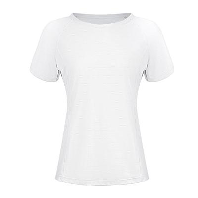 China Soft Slim Sports T Shirt Factory Directly Supply Women's Sport Overside T Shirt for sale