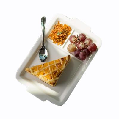 China Wholesale Disposable Three Section Fast Food Dish/Snack Tray Dinner Dishes 3 Division Sectional Dishes for sale