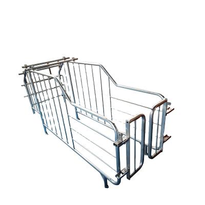 China PIG Farm Gestation Crate For Hog Hog Hogs Sow Farm Barn Breeding Equipment for sale