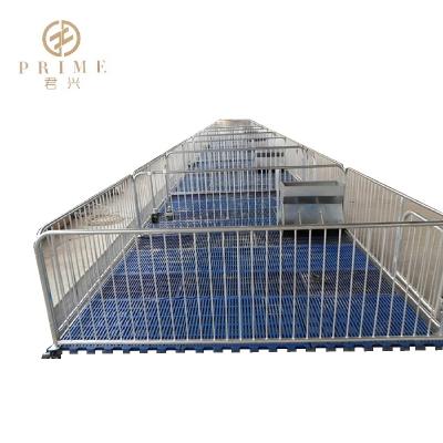 China PIG Farm China Pig Barn Agriculture Equipment Hog Fatten Crate Factory Direct Supplier Piglets Finishing Fence Stall For Sale for sale