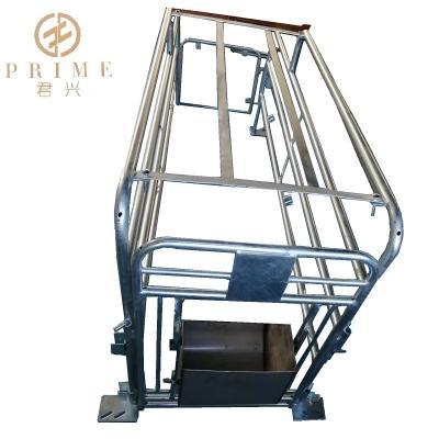 China PIG Livestock Agriculture Equipment Gestation Crate Customizing For Pig Farm Wholesale for sale