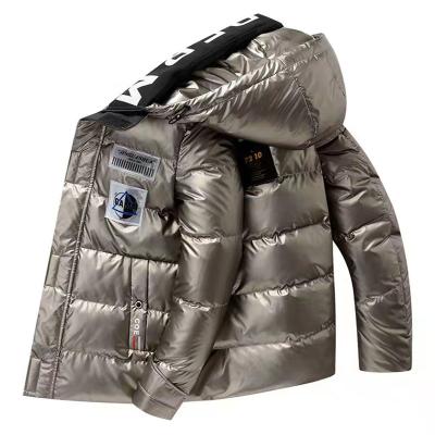 China Waterproof Stripper Jacket Men Winter Custom Bubble Padded Jackets Man Mens Jackets 2021 for sale