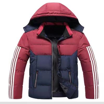 China OEM ODM Waterproof Custom Aritzia Contrast Mens Padded Coats Bubble Man Stripper Jacket Winter Warm Padded Jacket For Men for sale