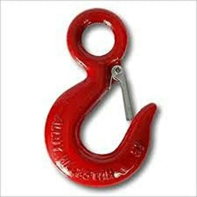 China U.S Type 320a Lifting Eye Hoist Hook With Safety Latch Hook Plain Finish for sale