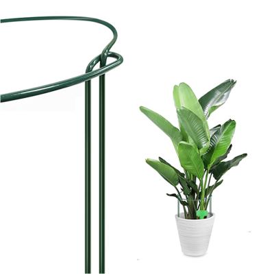 China Support Plants To Grow Upright And To Prevent Vines From Shedding 2021 Hot Sale Metal Garden Ring Plant Support Cage Rings Green Plant Stakes With Planting Label for sale