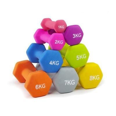 China Best Selling Rubber Covered Dumbbell Gym Equipment Cast Iron Vinyl Rubber Neoprene Dip Coated Colored Dumbbells for sale