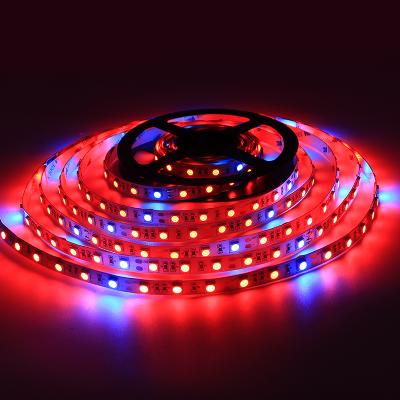 China Seed Starting Red Blue 5:1 SMD5050 Soft Full Spectrum LED Grow Strip Light For Indoor Mushroom And Flower for sale