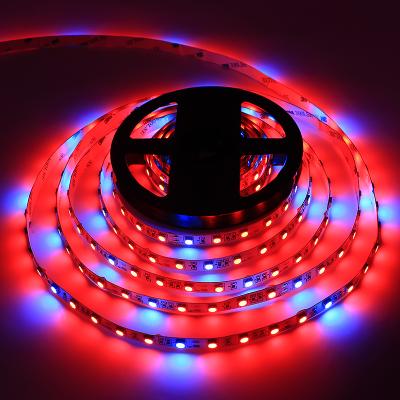 China Seed Starting 5Meters DC12V SMD5050 Red Blue 4:1 Full Spectrum Soft LED Grow Light Strip for sale