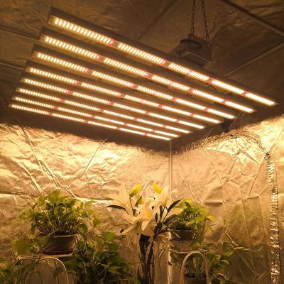 China Seed Starting New High Quality 800W LM301H/301B Eight Light Bars Spectrum Full Led To Grow Light For Indoor Plants for sale