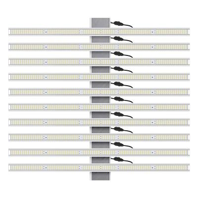 China Seed Starting Custom Full Spectrum 300W 600w 1000w 1200w Led Grow Light Bar For Greenhouse And Indoor Plants for sale