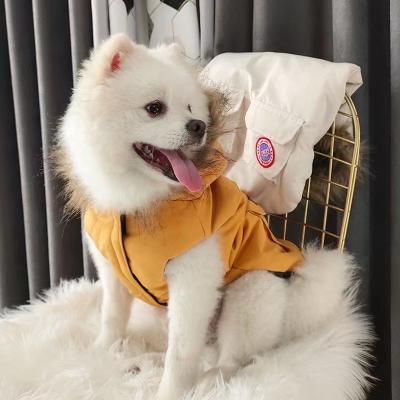 China China Factory Stocked Luxury Pet Clothes Fashion Popular Dog Clothes Winter Pet Jacket For Puppy Teddy Hoodie Cat Dog Coat for sale