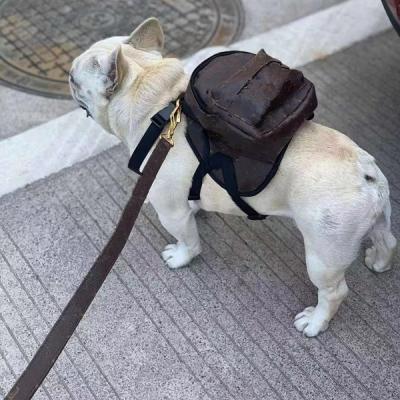 China Fashion Brand Luxury Design Dog Stocked Leather Backpack for sale