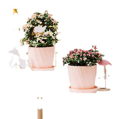 China New minimalist RUIPU M/L/XL outdoor garden plastic material flower pot thickened pp material garden for sale