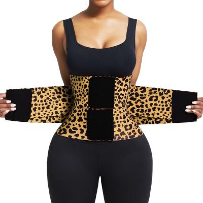 China Leopard Print Body Shaper Sports Belt Women Steel Boned Waist Trainer Belt 2021 Breathable for sale