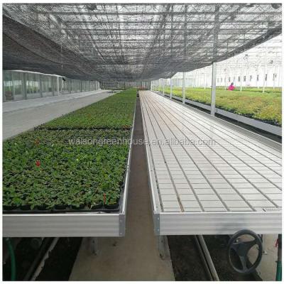 Cina Fruit Flower Growth Ebb Flow Table Rolling Flood Table Rolling Vegetable Bench in vendita