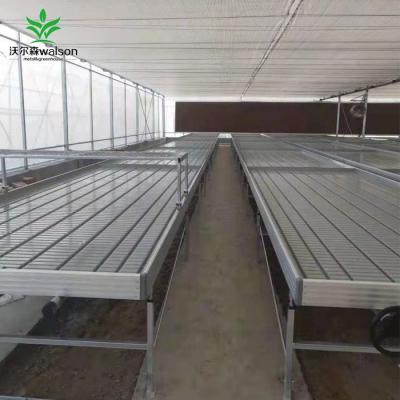 China Bench Vegetable Hydroponic System Rolling Greenhouse Growth Flower Fruit Growing Table with Support Trellis zu verkaufen